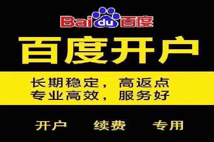 SEM代理操作技巧：成功案例揭秘